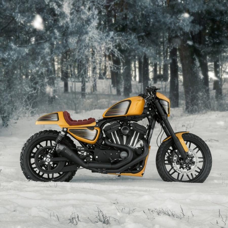 2004〜2021 XL スポーツスター アンダーフレーム・チンスポイラー