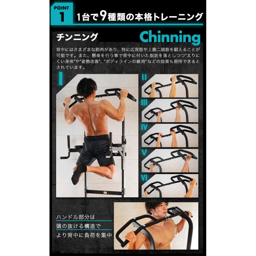 ハイガー プラップバー 懸垂バー プロユース 耐荷重230kg 懸垂 意匠
