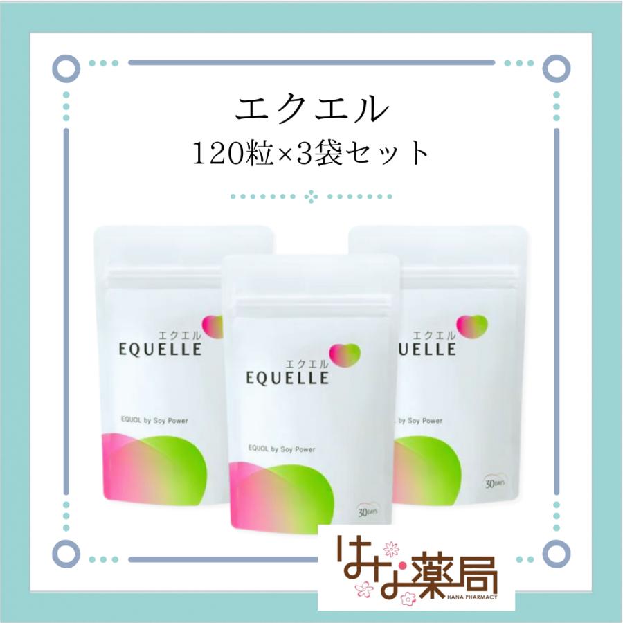 エクエル パウチタイプ（120粒）（3袋セット）【健康食品