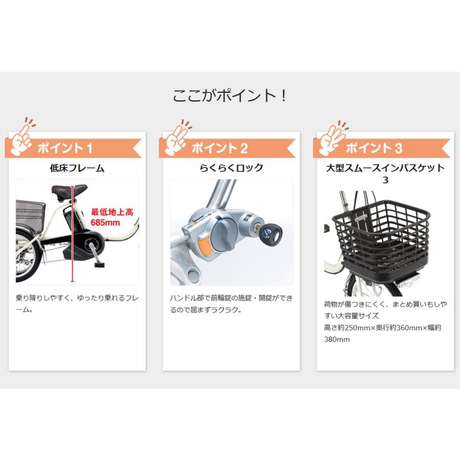 Panasonic（パナソニック） 電動アシスト三輪車 乗り方指導付き 2026年