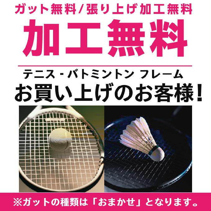 GOSEN（ゴーセン） バドミントンラケット コキュートス アイス COCYTUS
