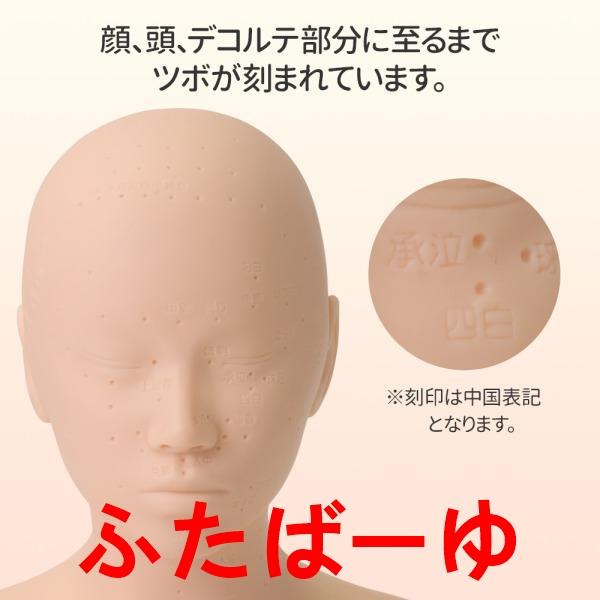 マネキン 練習 マネキンヘッド 頭 練習用 ヘッド マッサージ エステ