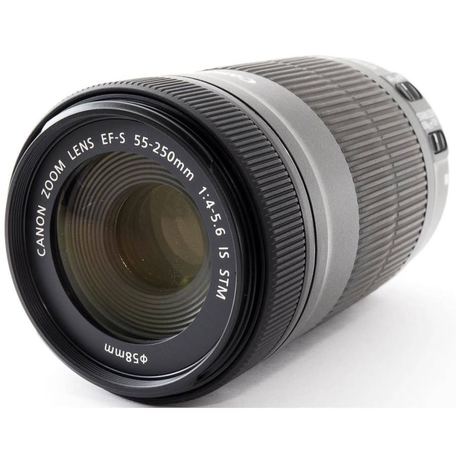 Canon純正 55-250mm 望遠レンズ 極美品 a5232 キヤノン(CANON
