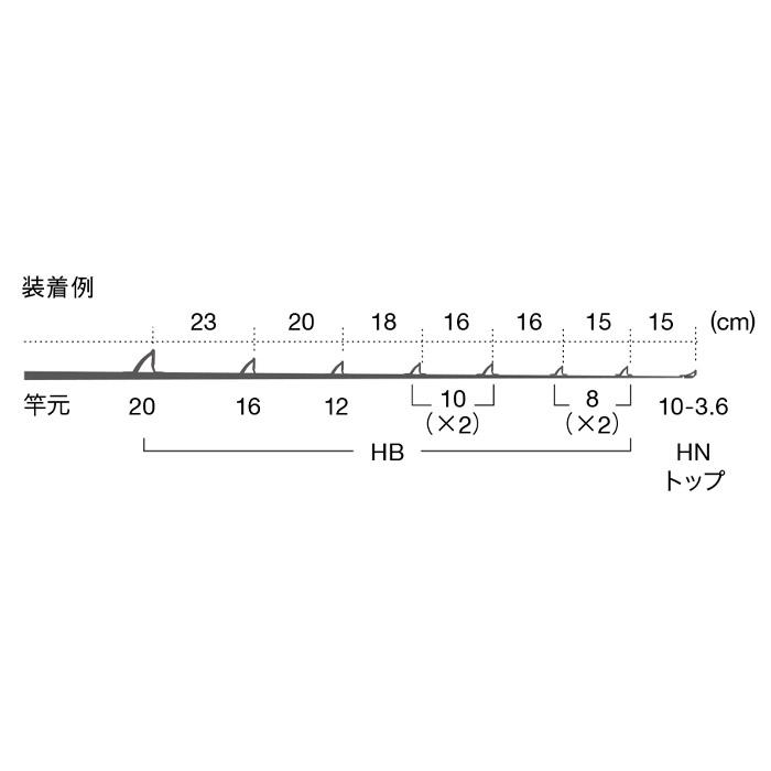 Fuji IGHBSG2081 中大物(ゴールド)セット ガイドセット トップガイド