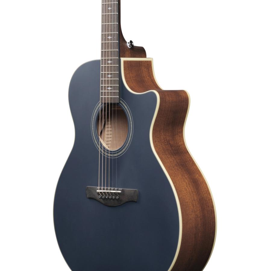 Ibanez（アイバニーズ） Ibanez / AE100-DBF (Dark Tide Blue Flat