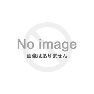 シマノ(SHIMANO) リール・ロッドセット 22 ブエナビスタコンボ S60ML