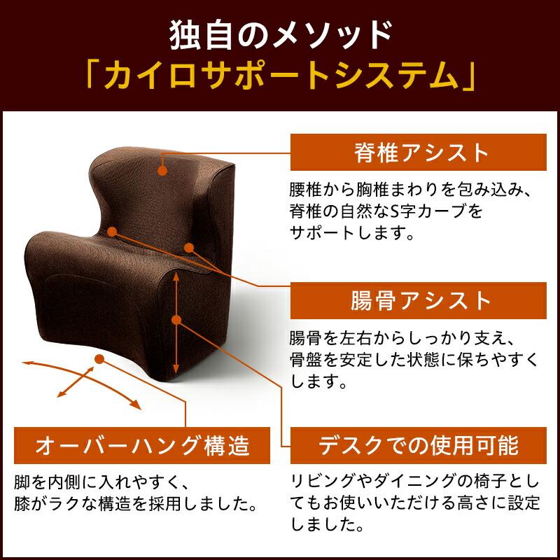Style（スタイル） Style Dr.CHAIR Plus ドクターチェア プラス 姿勢