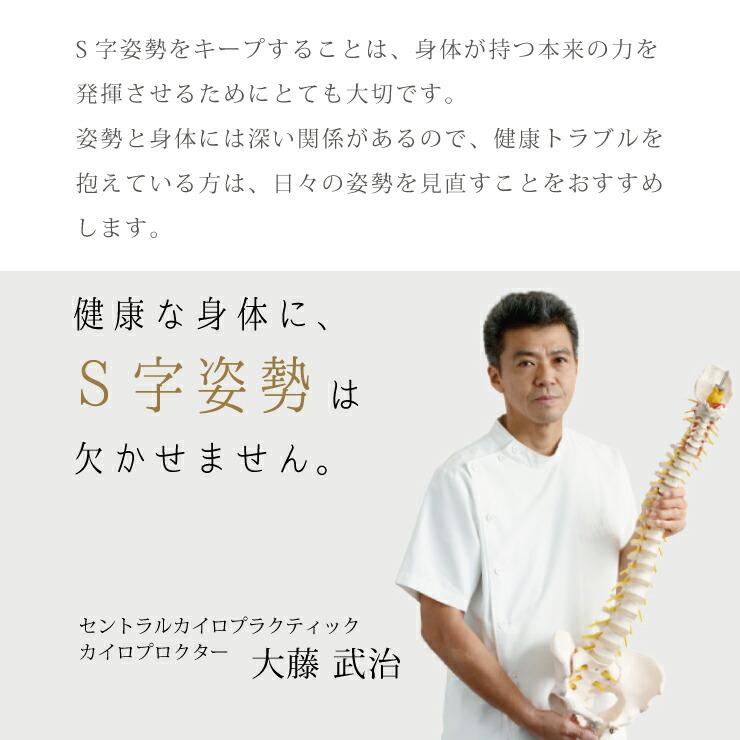 Style（スタイル） Style Chair DC 健康チェア MTG 姿勢ケア 1人掛け