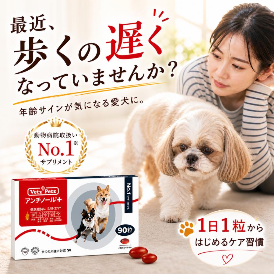アンチノール プラス 90粒 : 仁友堂 - 通販 - Yahoo!ショッピング