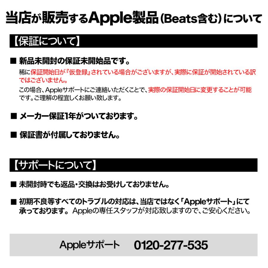 Apple Apple Apple Pencil アップルペンシル （第2世代） 2024モデル