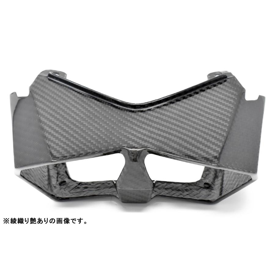 KAWASAKI Ninja H2 SX/Ninja SX SE テールライトカバー SPEEDRA