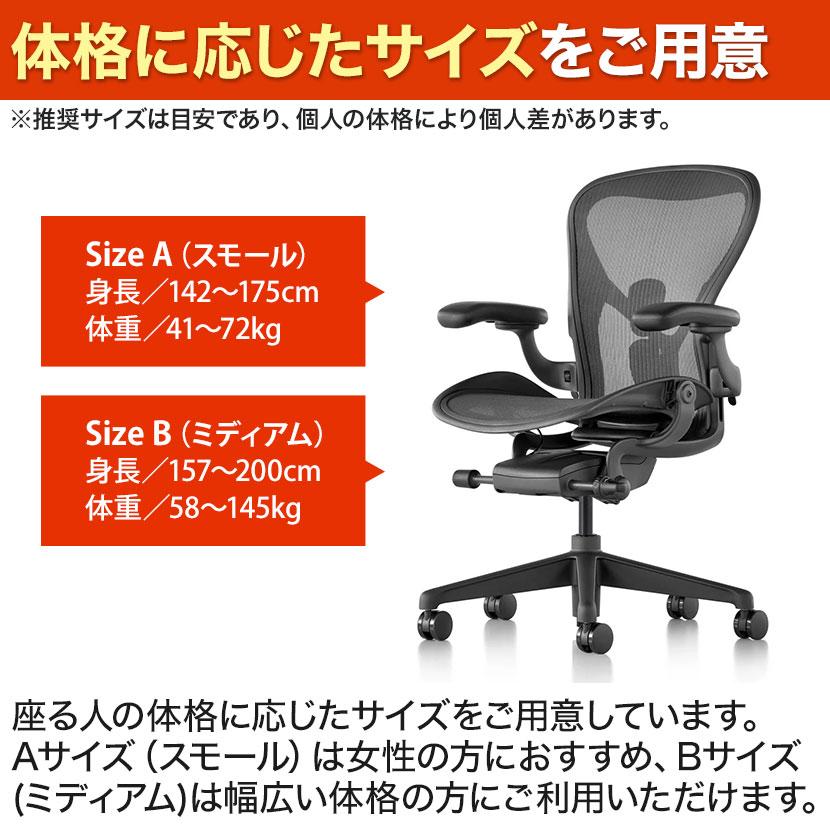 Herman Miller（ハーマンミラー） アーロンチェア リマスタード Aeron
