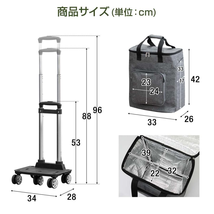 1年保証 ショッピングカート 横押し 押し引き 大容量 26L 2WAY 保冷