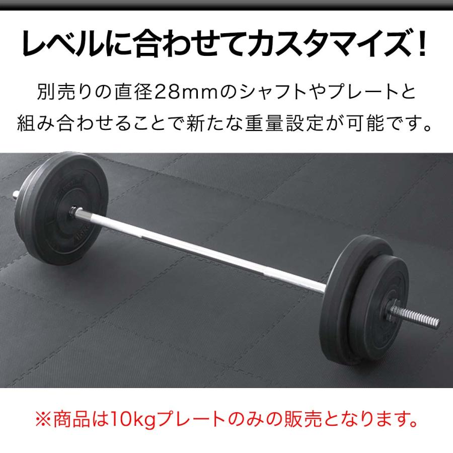 1年保証 バーベル 用 プレート 10kg 2個セット ポリエチレンコート