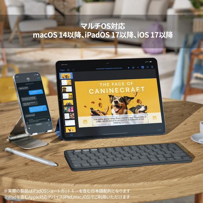 logicool（ロジクール） キーボード KEYS-TO-GO 2 for iPad iK1043GRA
