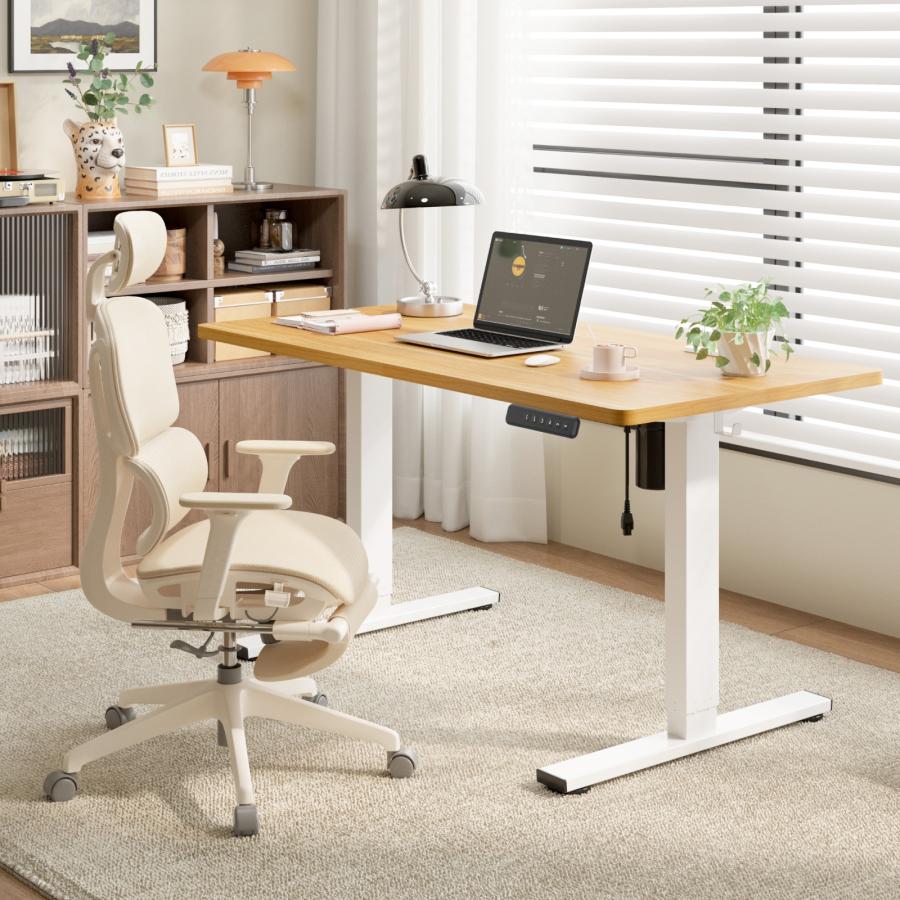 FlexiSpot 昇降式デスク 昇降デスク 電動 Flexispot EF1 Pro デスク