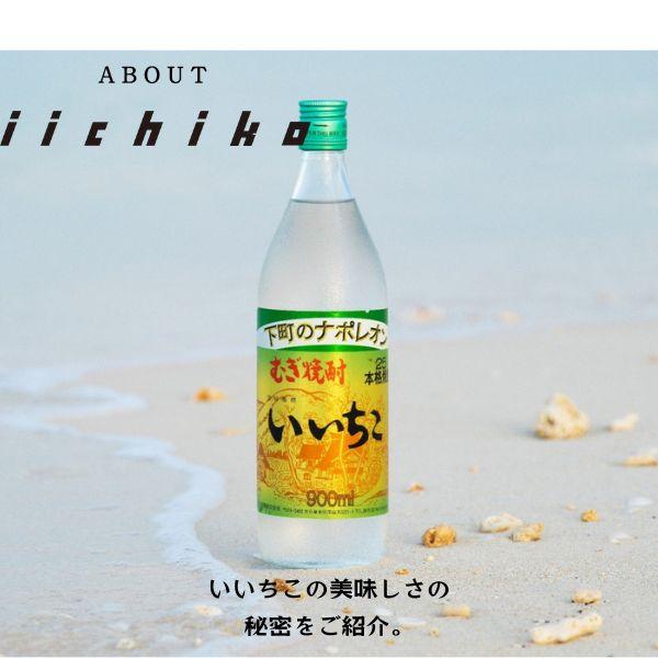 いいちこ25度 いいちこ 焼酎 25度 1.8L パック 1ケース 6本 1800ml 麦