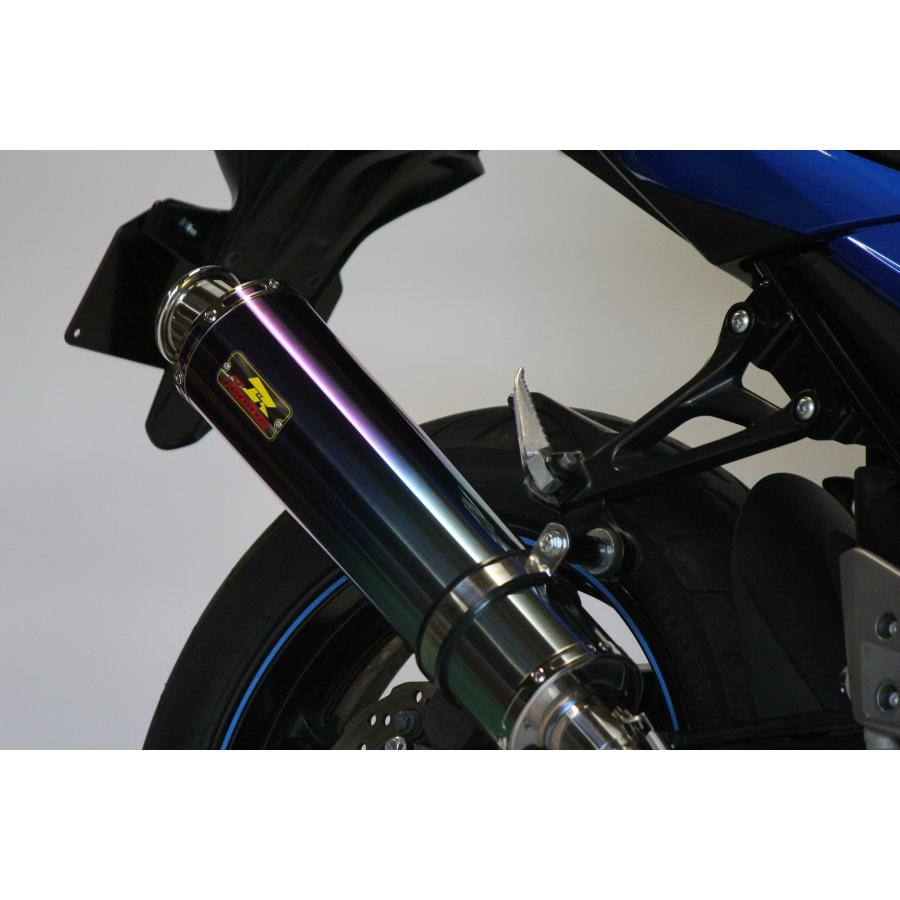GSX Realize GSX250R バイクマフラー 2BK-DN11A 8BK-DN12B 2017〜2021