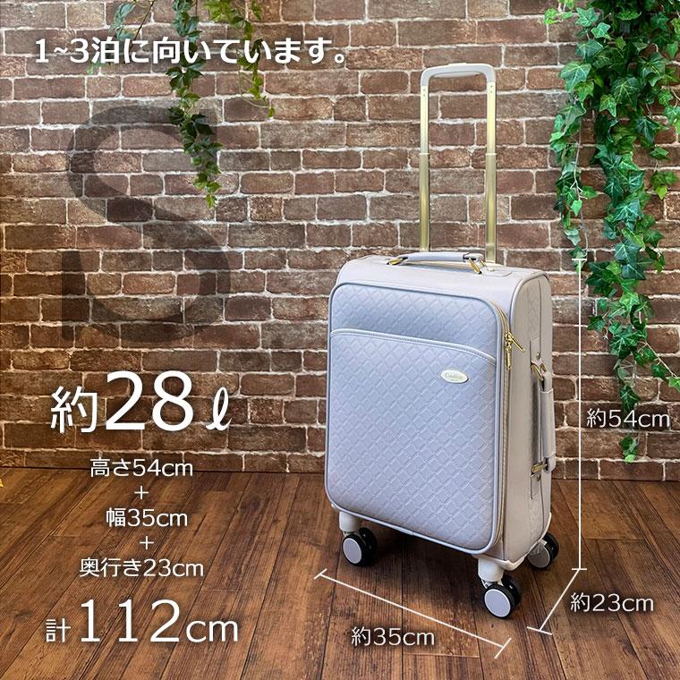 ソフトキャリーバッグ Sサイズ 28L 1〜3泊用 機内持ち込み可 キャリー