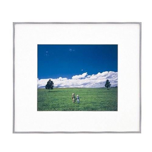 FUJIFILM（フジフイルム） お取り寄せ フジカラー 高級 おしゃれ 額縁