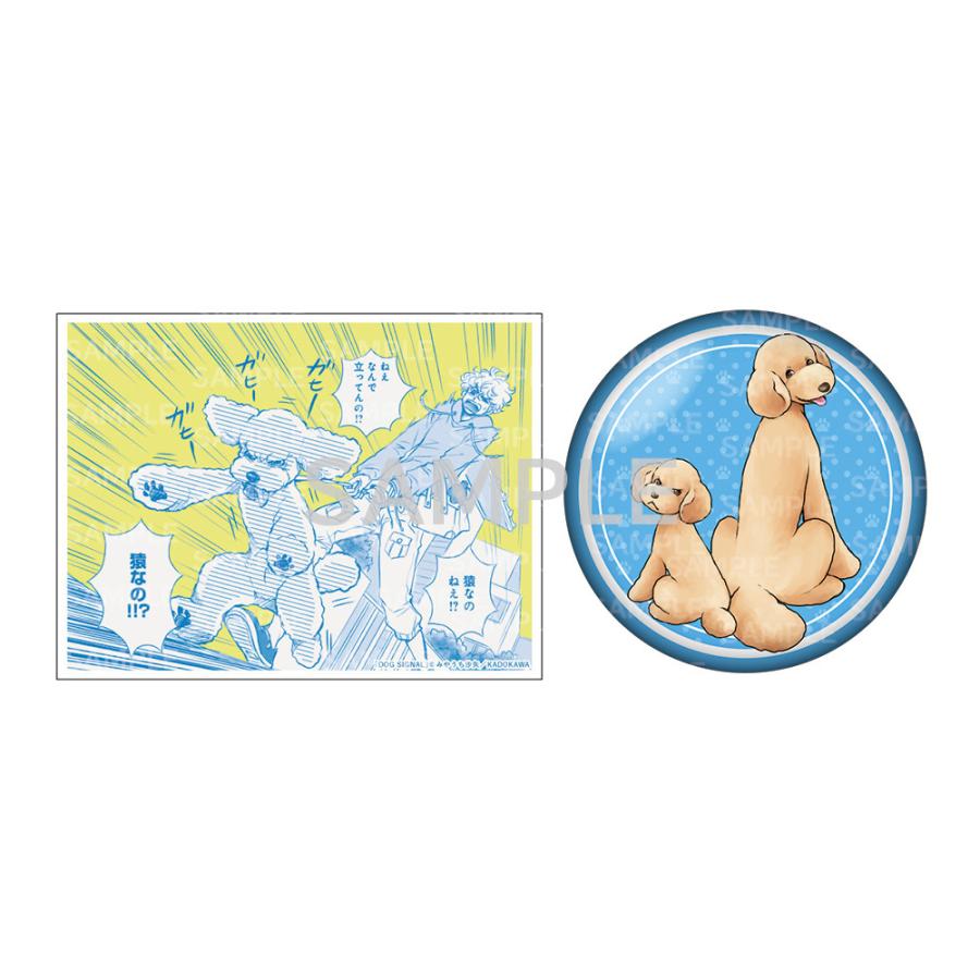 新品 / 特典あり ドッグシグナル DOG SIGNAL (1-15巻 最新刊)[限定缶