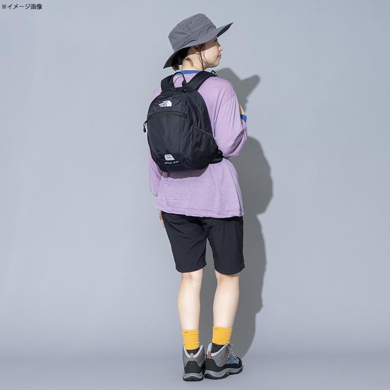 THE NORTH FACE（ザ ノースフェイス） スモール デイ キッズ 15L