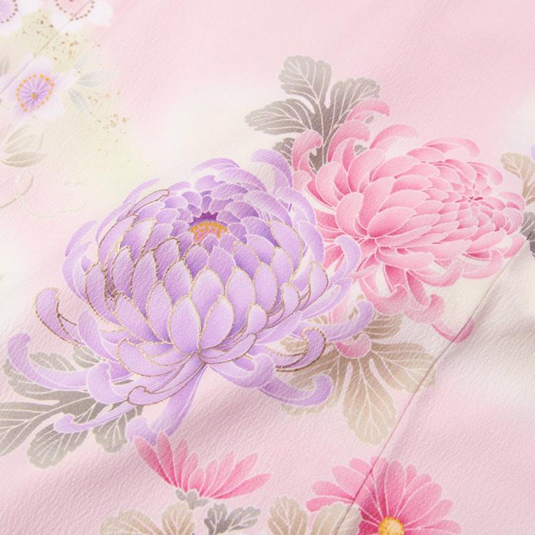 訪問着 19点フルコーディネートレンタルセット「薄ピンク地の白ばかし