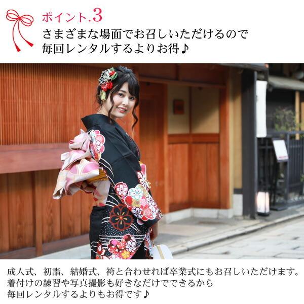 絵羽柄 振袖6点セット 販売 購入「黒地に流水と菊・梅」振袖 セット
