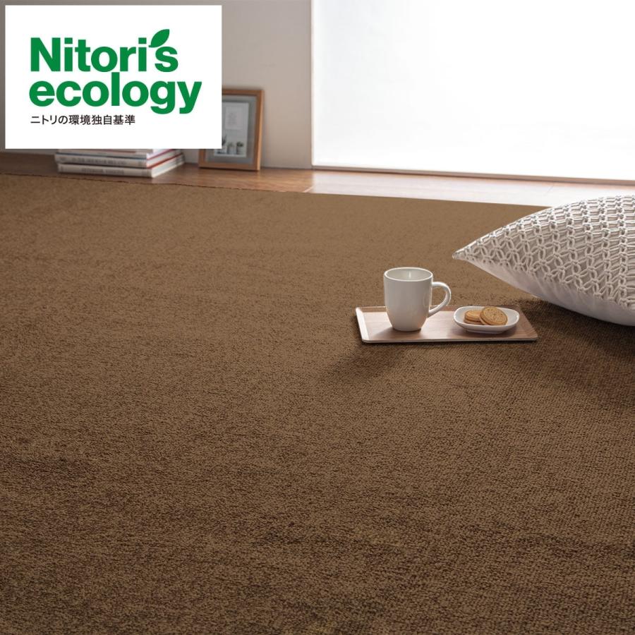ニトリ（NITORI） 防音・防炎・抗菌防臭・防ダニカーペット(N