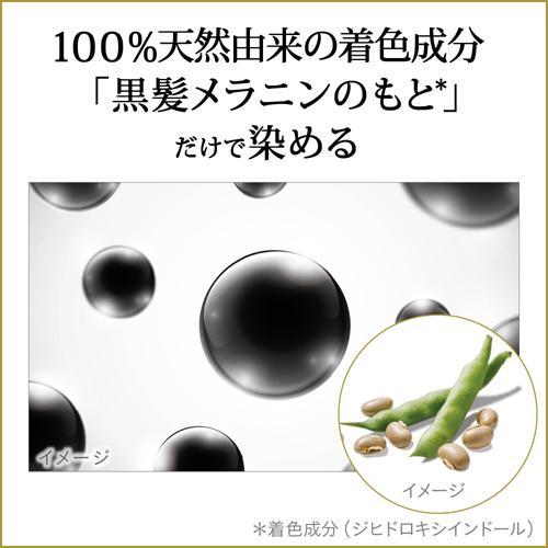 ブローネ リライズ 白髪用髪色サーバー リ・ブラック まとまり仕上げ