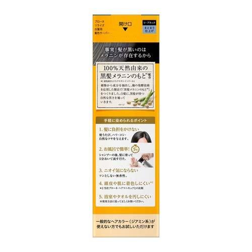 ブローネ リライズ 白髪用髪色サーバー リ・ブラック まとまり仕上げ