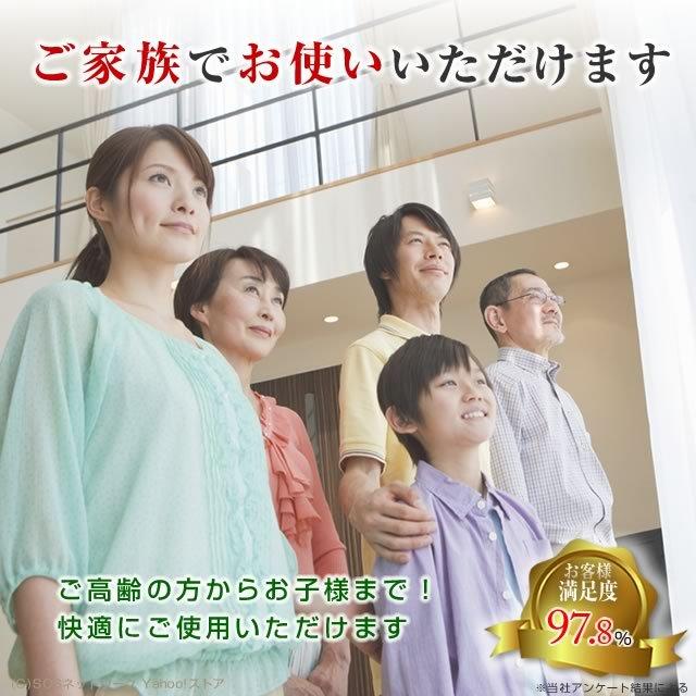 温蒸浴うるおいIII 中古 Aランク 1年保証 温熱治療器 フランス総合医療