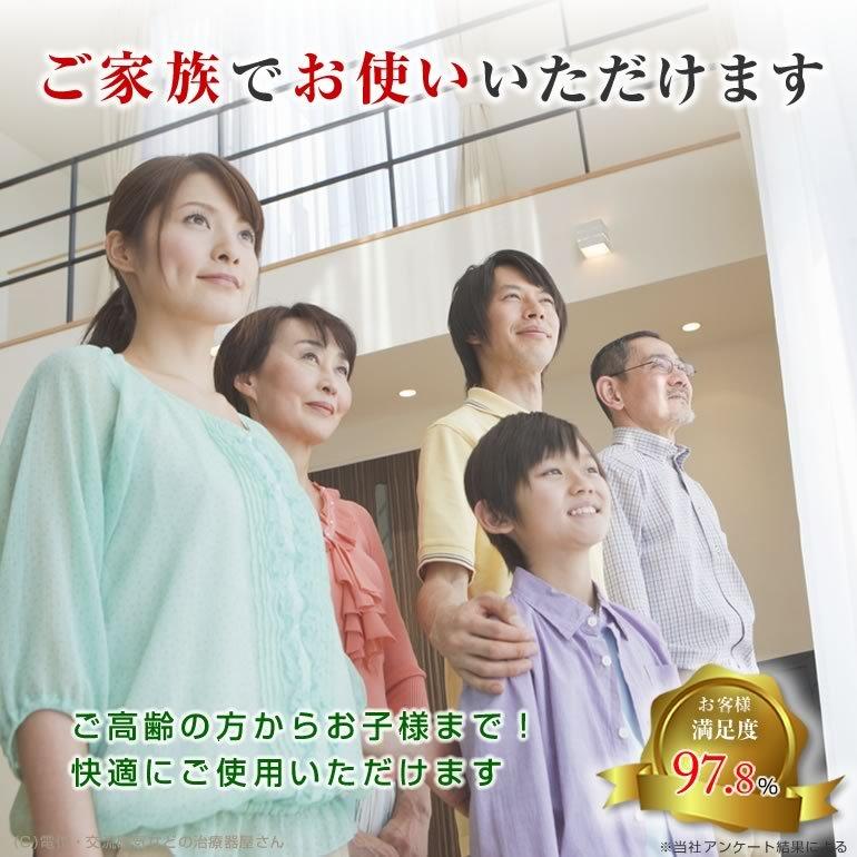 DENBA Health （デンバ ヘルス）スタンダードタイプ DENBA-08H-19 中古