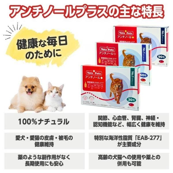 アンチノール プラス 猫用サプリメント 60粒 : セラフィーネット Yahoo