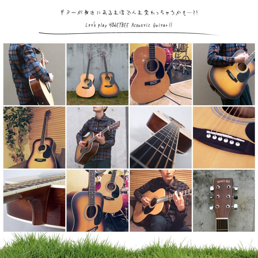 アコースティックギター W-15/F-15 ソフトケース付き〔大型荷物