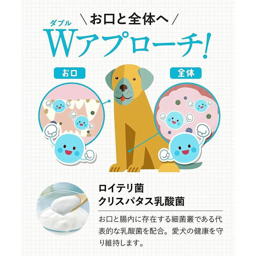 公式ショップ ドクターデンタルワン 犬 歯磨き 歯ブラシ 犬歯磨き 歯石