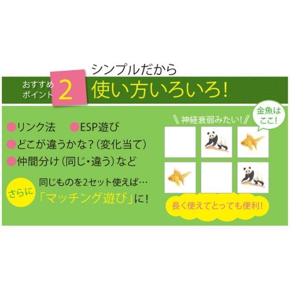 七田式 七田式右脳記憶、カード〜メモリーチップ : しちだ・教育研究所