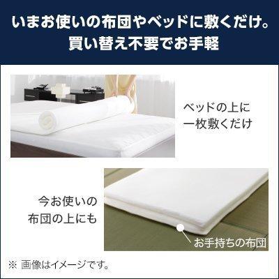 トゥルースリーパー（True Sleeper） プレミアム シングル 送料無料