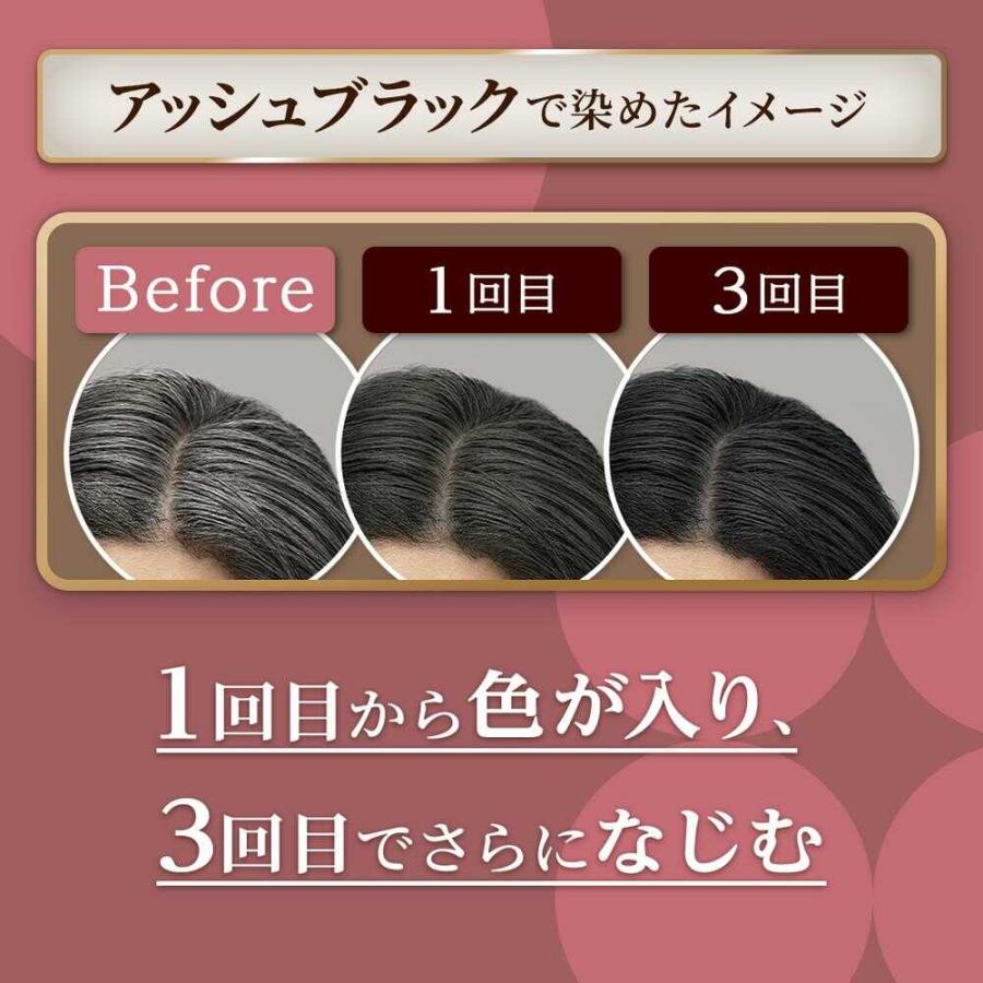 CIELO（hoyu） 【ポイント8倍】シエロ カラートリートメントリタッチ用