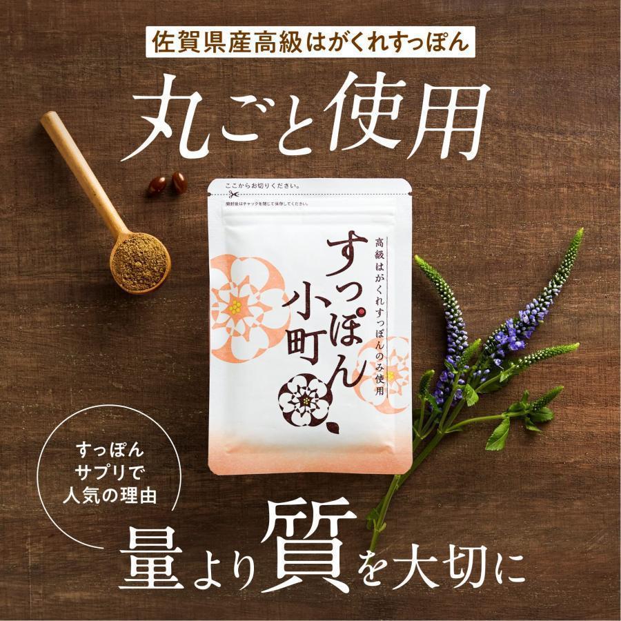 ていねい通販 すっぽん小町 元気とキレイを応援 サプリ 62粒 (1ヶ月分