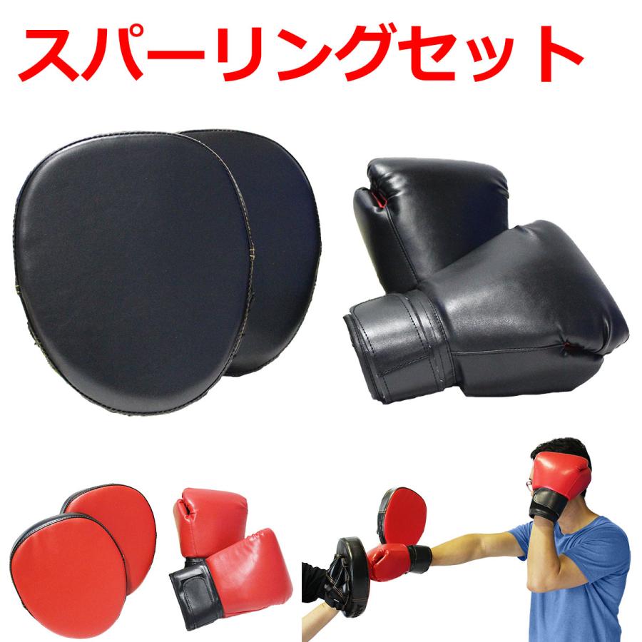 KaRaDa Style スパーリングセット ボクササイズ ボクシンググローブ