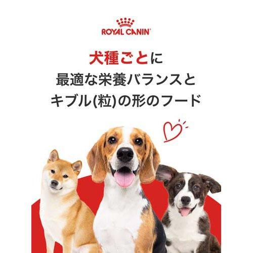 ロイヤルカナン ブリード ヘルス ニュートリション チワワ中・高齢犬用