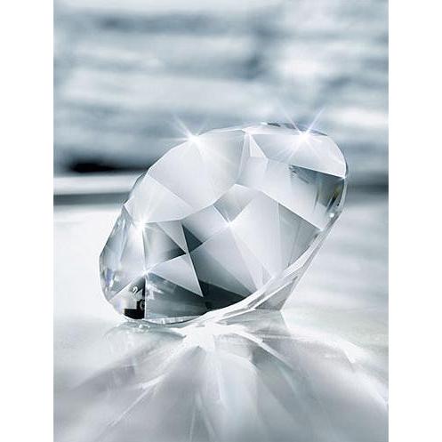 SWAROVSKI（スワロフスキー） Swarovski 2012年 SCS限定品 『チャトン