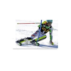 LEKI（レキ） レガース SHIN GUARD CARBON 4RACE : PRO SPORTS WEBSHOP