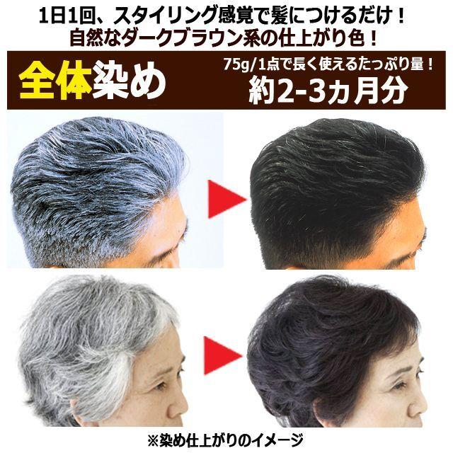 光で染まる！自然な仕上がり白髪染め！サンカラーマックス75g[3点
