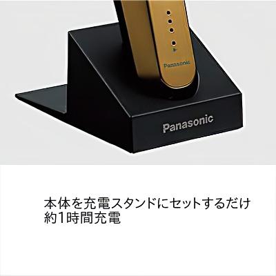 Panasonic（パナソニック） プロ T字トリマー ER-XT70-S シルバー 額