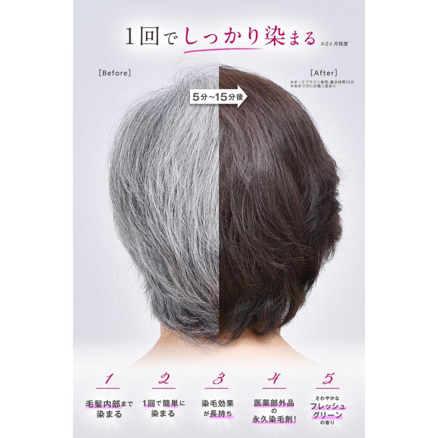 大容量 ヘアボーテエクラ ボタニカル エアカラーフォーム EX ダーク