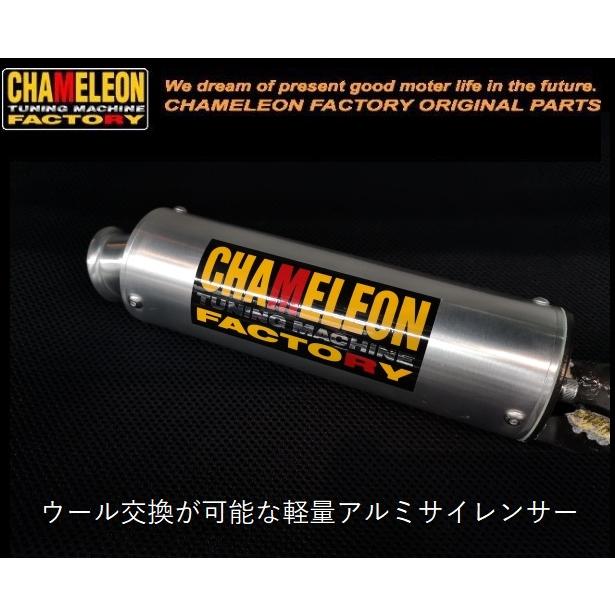 カメレオンファクトリー製 A206 パラライザー3 スーパーJOG ZR(00