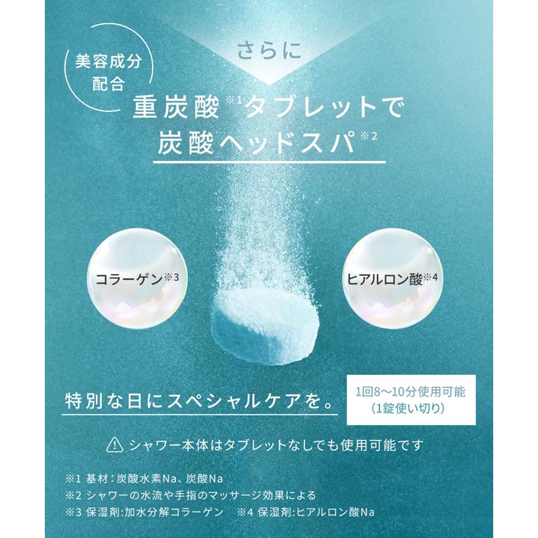 SALONIA（サロニア） シャワーヘッド ファインバブルクリア ヘッドスパ