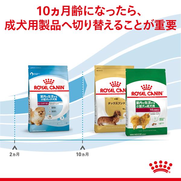 ロイヤルカナン（ROYAL CANIN） ミニ インドア パピー800g ジッパー